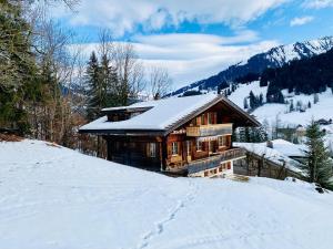 Chalet near Gstaad