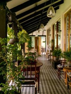 Oleander Farms, Karjat