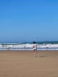 Best Sea View in Morocco