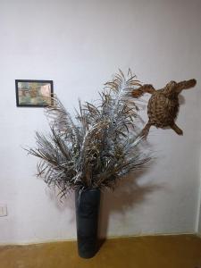 Refúgio natureza viva