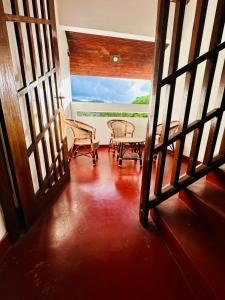 Lazy Bear Best Hostel in Kandy