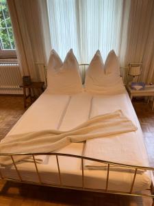 Schweizerhaus Glarus - Historisch & Stilvoll mit Garten