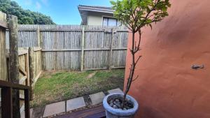 Firefly Cottage: Cosi nest tucked away in garden