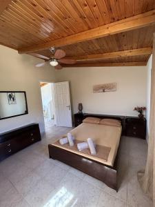 Ziras Traditional Villa