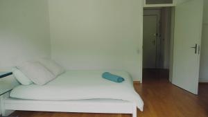 Basel Center Apartment V&V