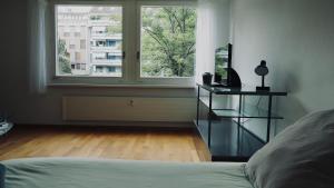 Basel Center Apartment V&V