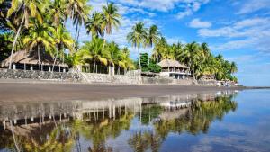 Linas Sunset and Surf