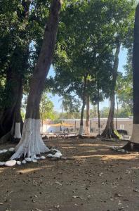 Linas Sunset and Surf