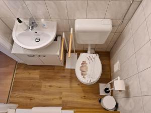 Gemütliches 1 Zimmer Studio in der City