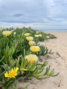 Townhouse 15 minutes from the sea