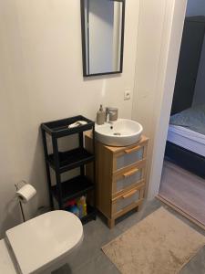 Studio Apartment in Reykjavik