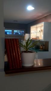 Bela Vista - Apê no centro histórico