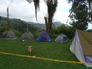 Las Hamacas Mountain Hostal zona de camping