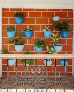 Hotel Campestre El Cielo