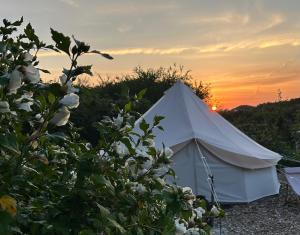 Cozy Garden Glamping