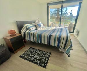 Nice apartment with a view of the Concón Dunes