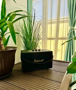 InspireNest Iulius Mall