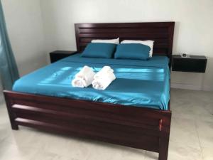 Dove Inn master room