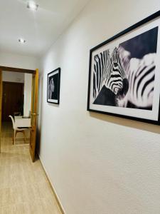 Apartment 5 minutes from airport and beach