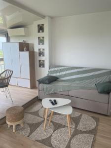 Vue panoramique pour ce grand studio en centre ville