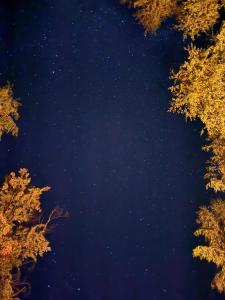 Pensiunea Restaurant Casa Lacului