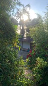 EcoPolis el queremal entrada