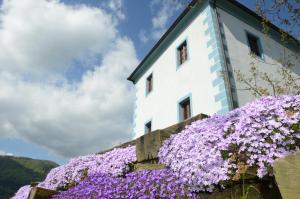 Apartment Trta room in Wine Grower's Mansion Zlati Gric