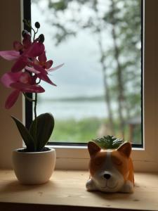 Mazurski Chill House