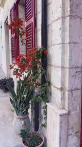 The Little Duke Residence