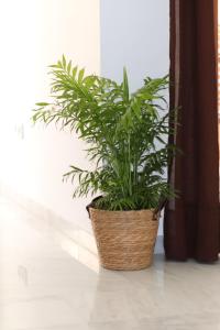 APARTAMENTO MORAIRA - 3 Habitaciones