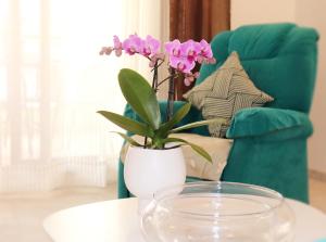 APARTAMENTO MORAIRA - 3 Habitaciones