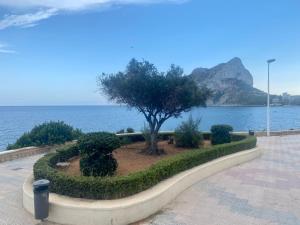 El Capricho de Frida