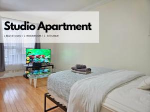 Central Downtown Toronto - Trinity Bellwood Park