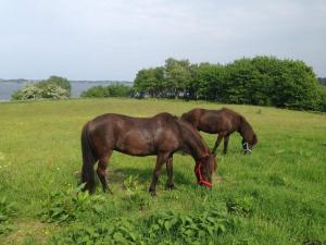 6 person holiday home in Aabenraa-By Traum
