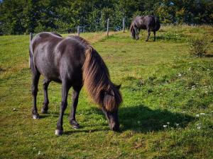 6 person holiday home in Aabenraa-By Traum