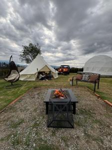 Quinta Paco de Lucía