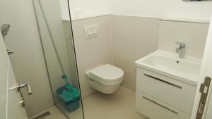 Duplex Luxury Apartment