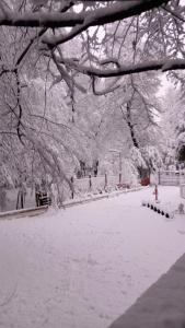 Cabañas De El Abuelo