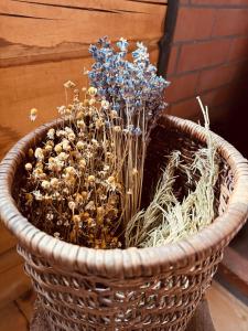 Cozy time in the forest 霖莊