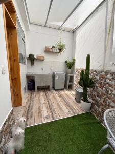 Acogedor full de Plantas