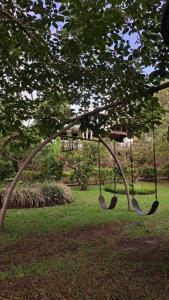 Jicote finca de ecoturismo 1