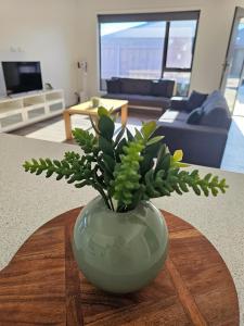 Luxury New furnished George Town home near MTB trails aircon WIFI