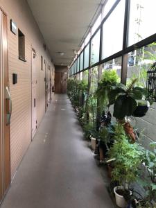 東方の港湾25平方大床房203Oriental Harbor 25 square meter king size bed room