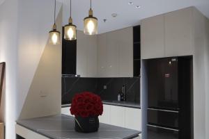 Times city 2BR iva Vivu APT