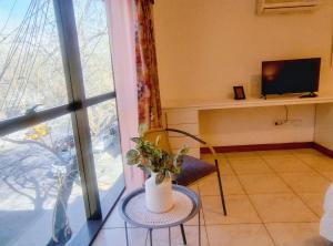 Terrazas Suites 8