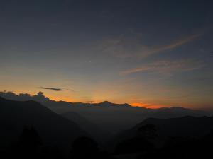 Pine Valley View Homestay