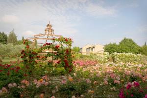 B&B / Chambres d'hotes MAS DES FIGUES - Mas XVIIIe tres calme - Certifie Biologique FRBio10 - jardin naturel ecologique - piscine 12x6 - Copieux brunch paysan mediterraneen cuisine du jardin huile d'olive - Agritourisme Alpilles Saint Remy de Provence du 01 mai au 30 septembre : photos des chambres