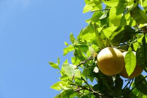 Hotels Boutique hotel Maria-Christina : photos des chambres