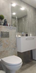 Buto nuoma Druskininkuose