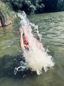 Khata uder the Blue Flower